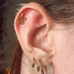 perceur autour de moi Annonay