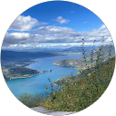 ambre D. profile picture