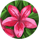 Emma A. profile picture